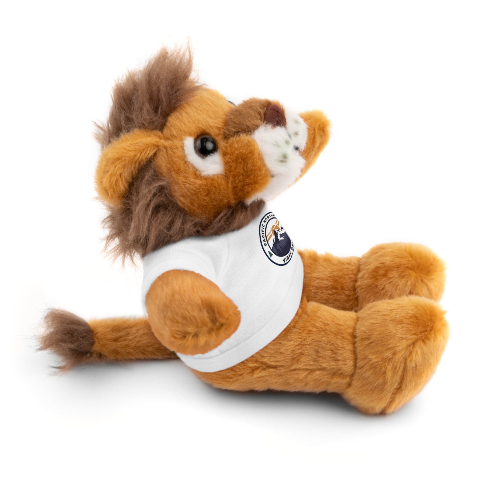 PNW Vibes Only Plush Bear